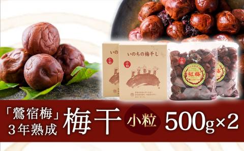 徳重おばあちゃんの3年熟成小粒梅干し1kg_MJ-4904