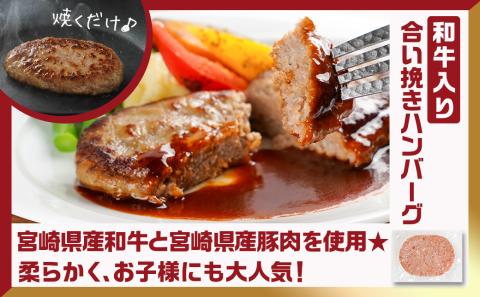 和牛入り合挽きハンバーグ&鶏むね唐揚げ&一口チキン南蛮 2.7kgセット_16-9203