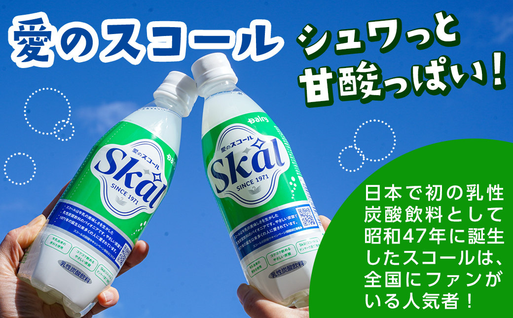 愛のスコール 500ml×24本_11-2305