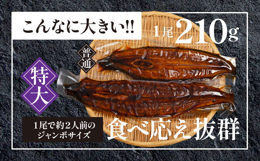 宮崎県育ちの【特大】うなぎ蒲焼1尾210g以上≪山椒・たれ付≫_11-M301