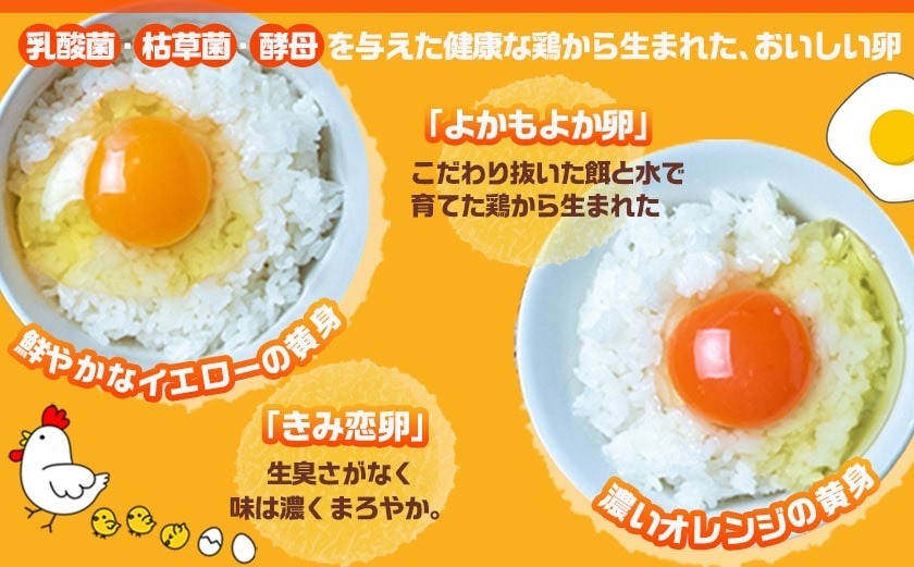 【父の日】「きみ恋卵」と「よかもよか卵」のたまごかけご飯セット≪6月18日～21日お届け≫_12-2902-FG