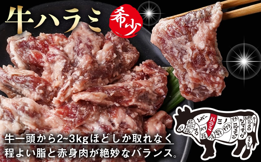 牛ハラミ 塩麹タレ漬け1.2kg_12-3310_【肉 牛肉 焼き肉 焼肉 人気 おすすめ】