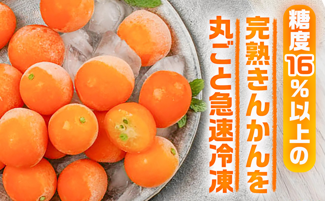 【徳用】内山金柑園のまるかじり氷結きんかん1kg(500g×2P)_12-J702
