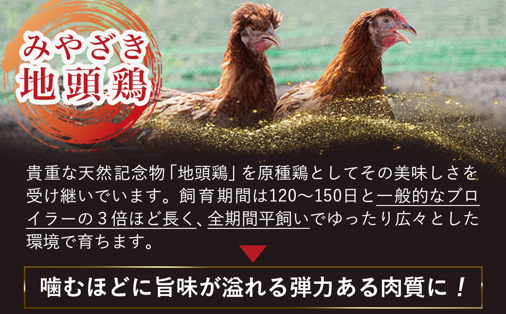 「みやざき地頭鶏」カット済!モモ・ムネ(300g×3)_12-J703