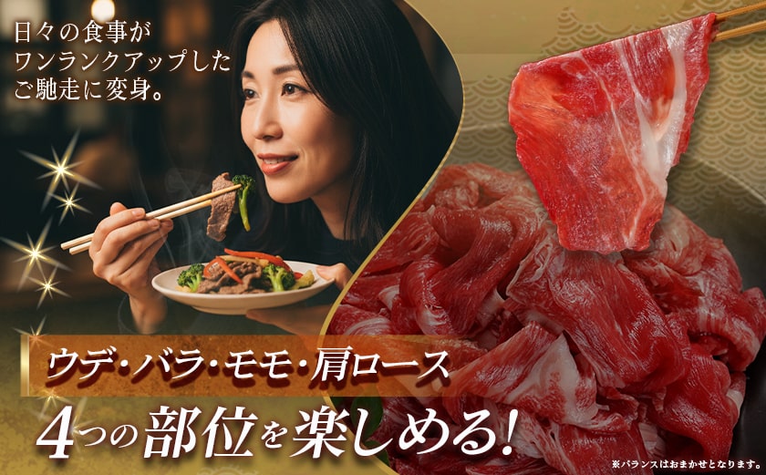 宮崎牛切り落とし【小分け】200g×3_12-J704