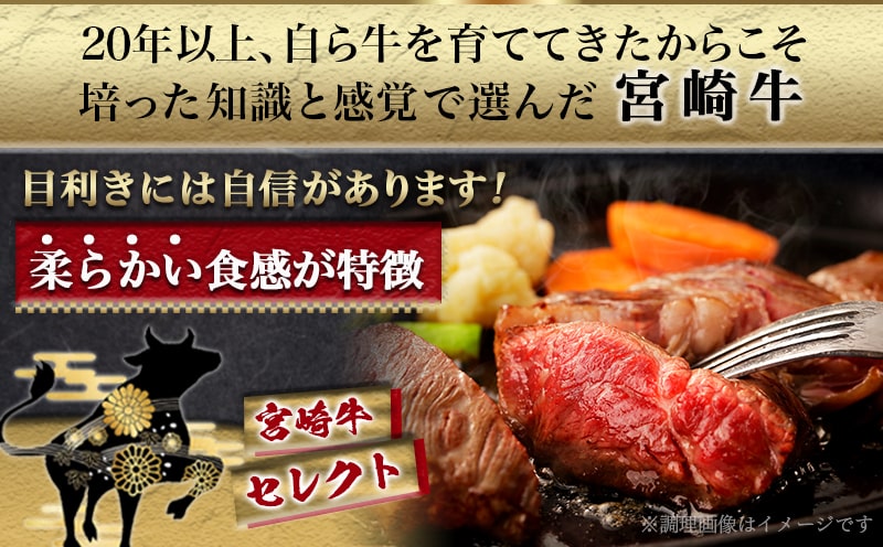 宮崎牛【赤身霜降り】ロースステーキ200g_13-6501