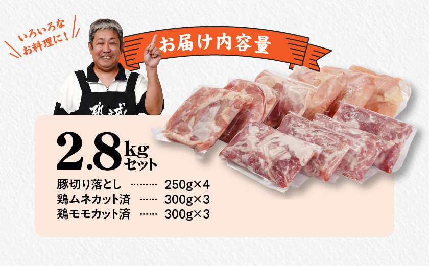 使いやすさ抜群!宮崎県産鶏肉(カット済)&豚肉切り落とし2.8kgセット≪みやこんじょ快速便≫_13-8401-R