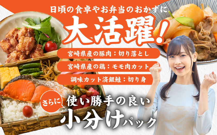 ≪肉×魚≫小分け3種セット(豚切り落とし250g×2P・鶏モモカット済300g×2P・銀鮭500g)_13-8402