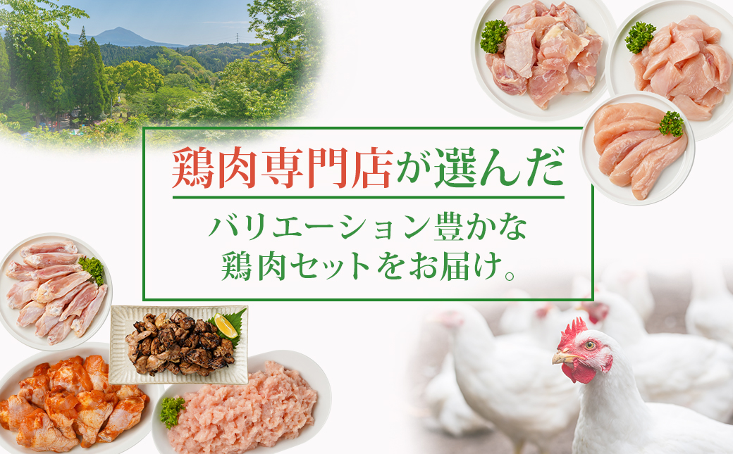 国産若鶏づくし7種セット!総重量3.2kg!≪みやこんじょ快速便≫_13-L902-R
