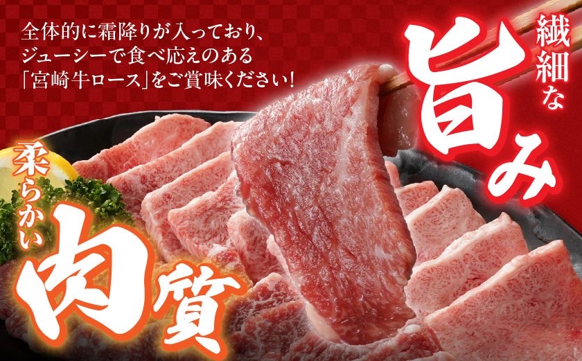宮崎牛ロース焼肉400g_13-N301