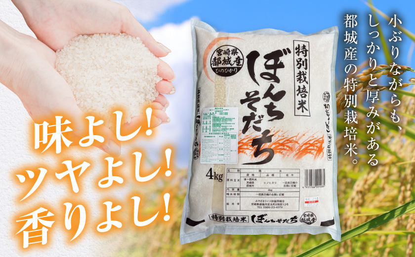 都城産ひのひかり特別栽培米「ぼんちそだち」4kg_13-N501
