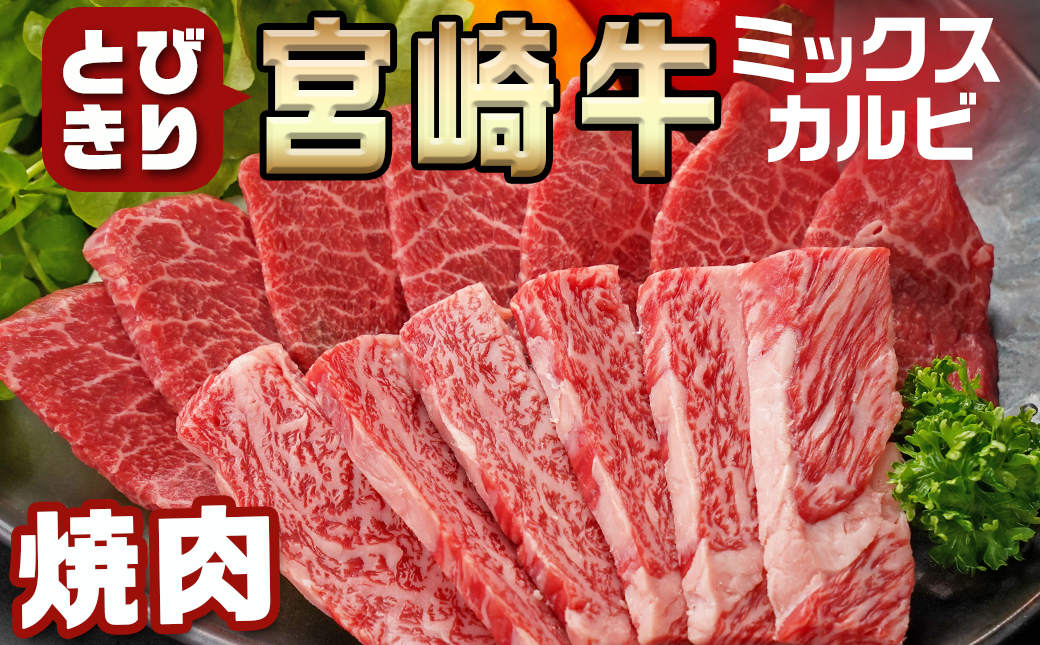宮崎牛ミックスカルビ焼肉500g≪みやこんじょ快速便≫_14-8902-R_【肉 牛肉 焼き肉 焼肉 人気 おすすめ 国産 宮崎県産】