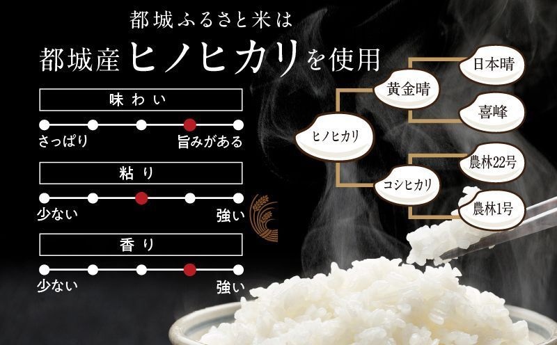 都城ふるさと米(ひのひかり)無洗米5kg_14-9002