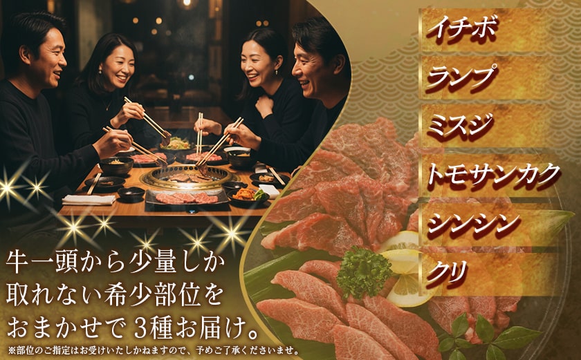 牛肉好き必見!宮崎牛希少部位の焼肉☆お楽しみ3種盛(100g×3種)_14-J702