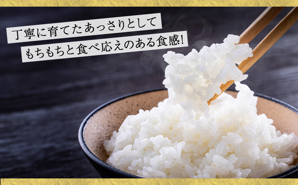 都城産ヒノヒカリ5kg【旅館・常盤荘のお米】_14-J703