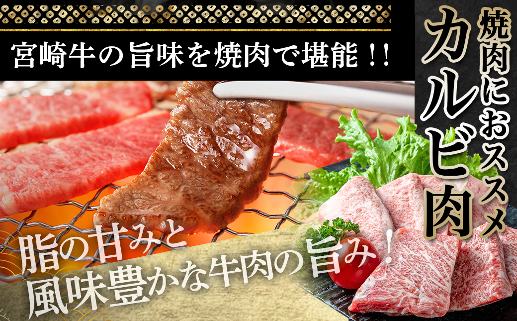 宮崎牛カルビ焼肉用600g_16-2501_【肉 牛肉 焼き肉 焼肉 人気 おすすめ 国産 宮崎県産】