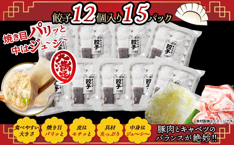 ばあちゃん本舗餃子180個_17-1512