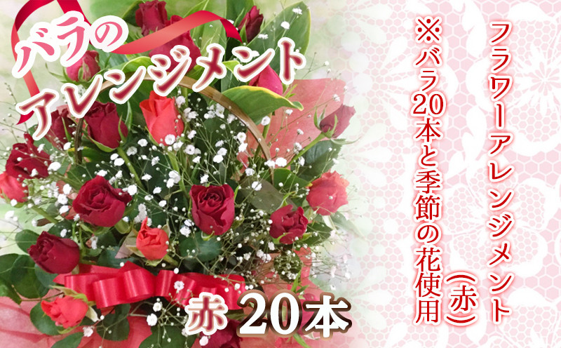 【母の日】バラのアレンジメント20本(赤)≪5月7日～10日お届け≫_17-3305-MG