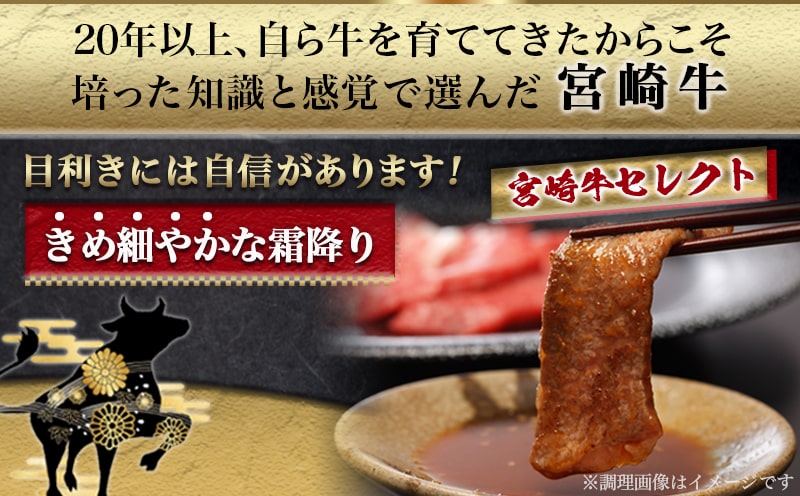 宮崎牛肩ロース焼肉500g_17-6504_【肉 牛肉 焼き肉 焼肉 人気 おすすめ 国産 宮崎県産】