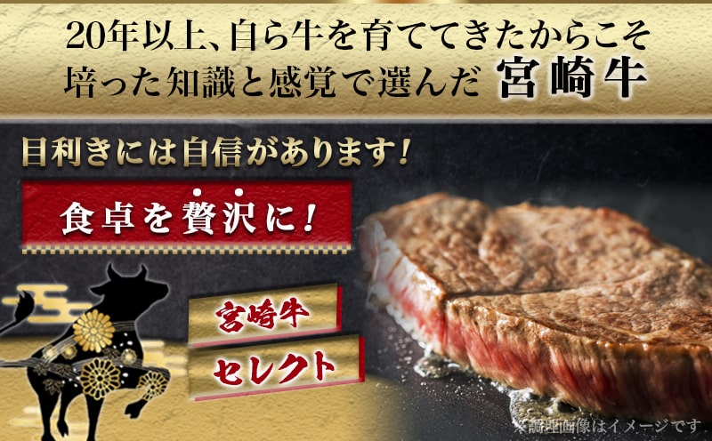 宮崎牛ももステーキ&サイコロステーキ600gセット_17-6505