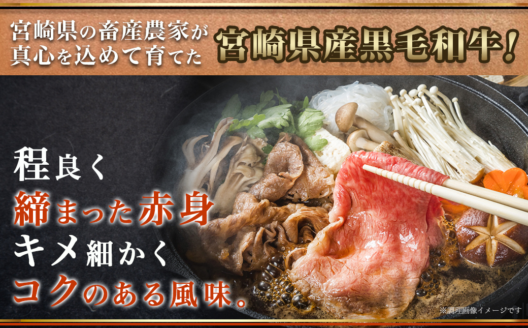 宮崎県産黒毛和牛（A4以上）【赤身霜降り】すきしゃぶ800g (400g×2P)_17-6510
