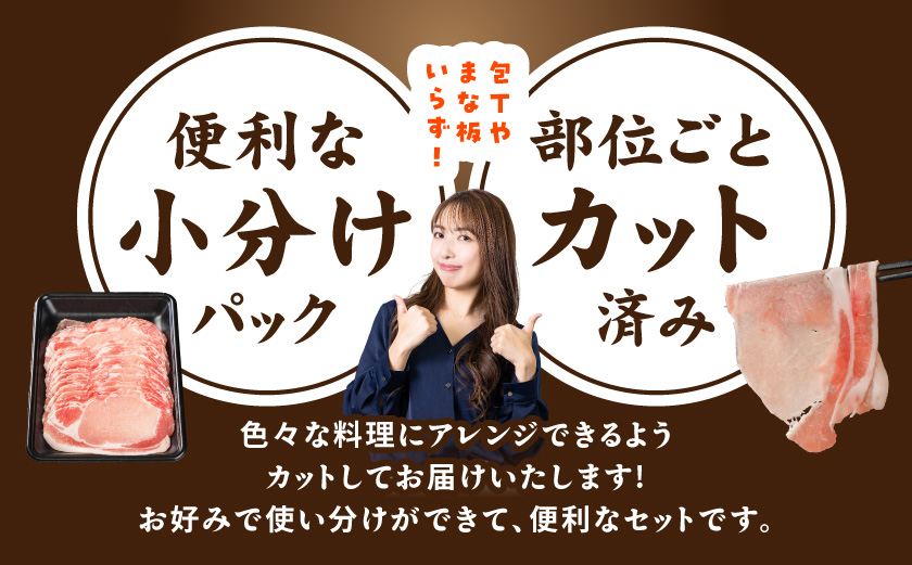 宮崎県産豚バラエティしゃぶ3.6kgセット_17-8407