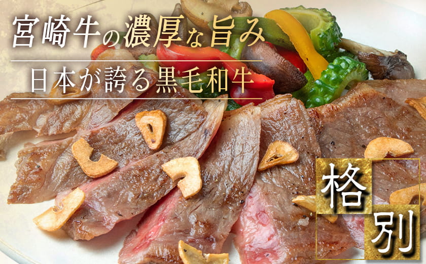 宮崎牛サーロインステーキ200g×2_18-2501