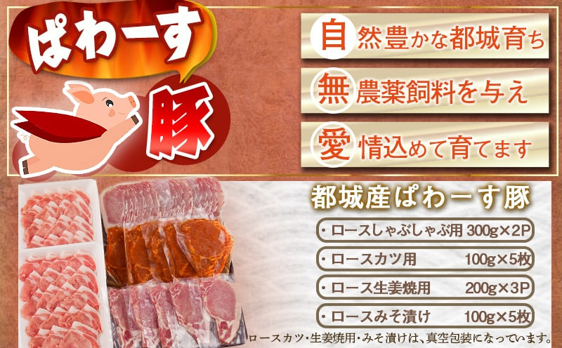 「ぱわーす豚」ロースバラエティセット2.2kg_18-6402