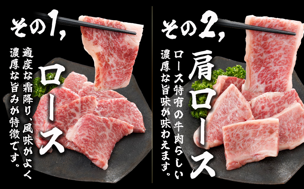 宮崎牛焼き肉7種類詰め合わせセット(真空)_18-8904_【肉 牛肉 焼き肉 焼肉 人気 おすすめ 国産 宮崎県産】