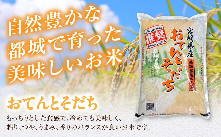 【母の日】都城産のお米「おてんとそだち」&「ひのひかり」各3kg≪5月7日～10日お届け≫_18-N501-MG