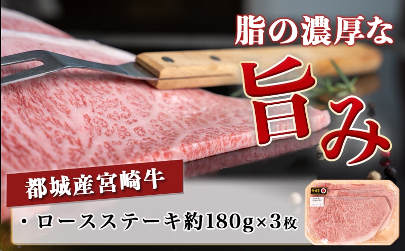 宮崎牛ロースステーキ180g×3枚_19-3102