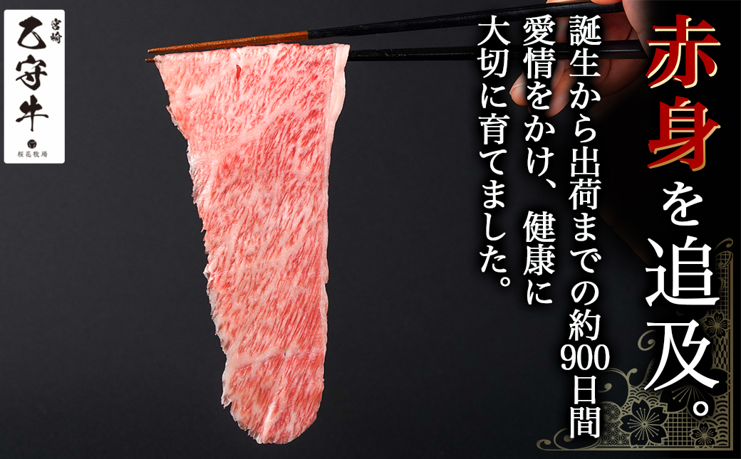 数量限定!【宮崎牛A5】小間切れ500g(乙守牛)_19-6502