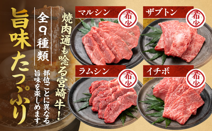 【数量限定】宮崎牛9種盛り焼肉セット_22-31-006-600g_【肉 牛肉 焼き肉 人気 おすすめ 国産 宮崎県産 4等級以上 たれ付き】
