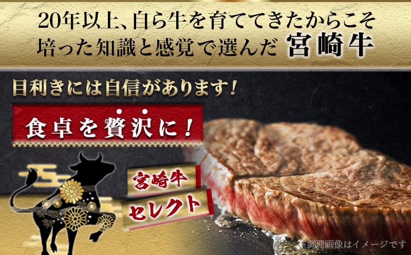 宮崎牛【赤身】ももステーキ&サイコロステーキ800gセット_22-6505