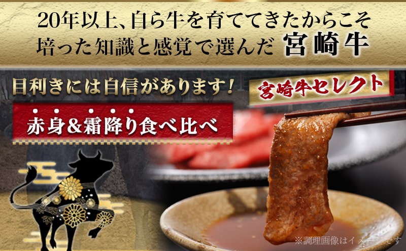 宮崎牛赤身＆霜降り【とろ旨カルビセット】800g_22-6506_【肉 牛肉 焼き肉 焼肉 人気 おすすめ 国産 宮崎県産】