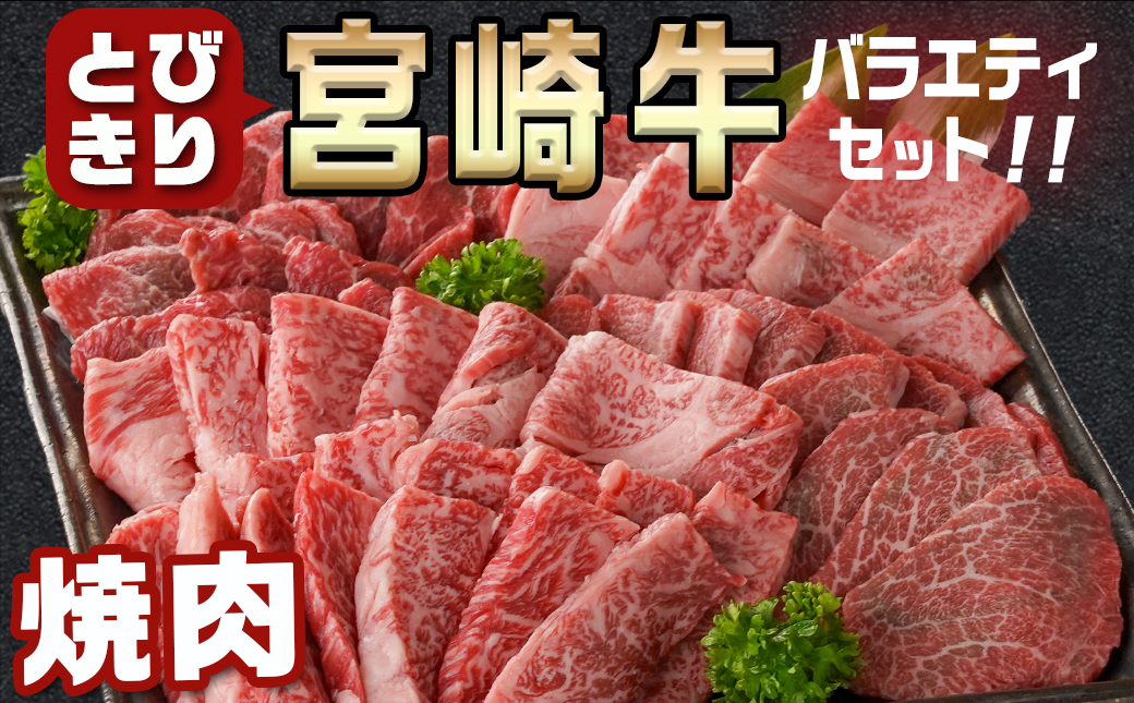 宮崎牛バラエティ焼肉セット1kg_22-8906_【肉 牛肉 焼き肉 焼肉 人気 おすすめ 国産 宮崎県産】