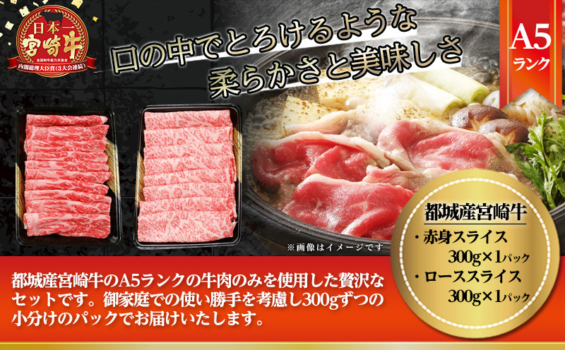 【お歳暮】宮崎牛(A5)スライス食べ比べ600g≪11月17日～12月21日お届け≫_23-0102-WG