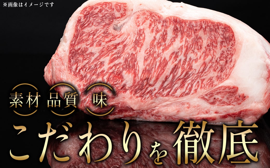 宮崎牛サーロインステーキ200g×3枚_26-6401