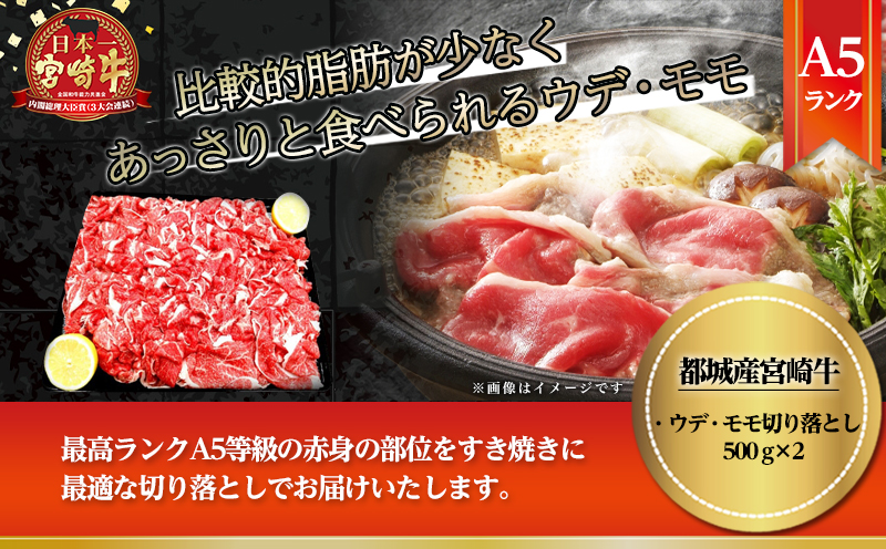 宮崎牛(A5)ウデ・モモ切り落とし すき焼き用1kg_27-0101_【肉 牛肉 切り落とし 焼き肉 焼肉 スライス すき焼き しゃぶしゃぶ 人気 おすすめ 国産】