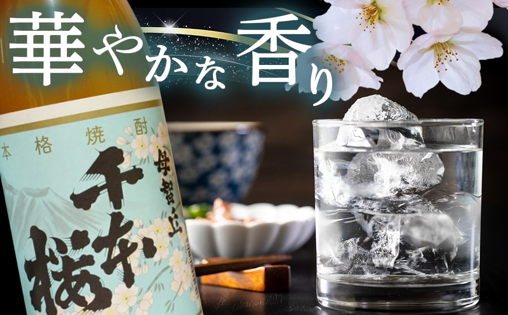 【年内お届け】「みやこんじょ銘酒」【柳田酒造】千本桜(20度)900ml×10本≪2025年12月15日～31日お届け≫_29-3501-HNY