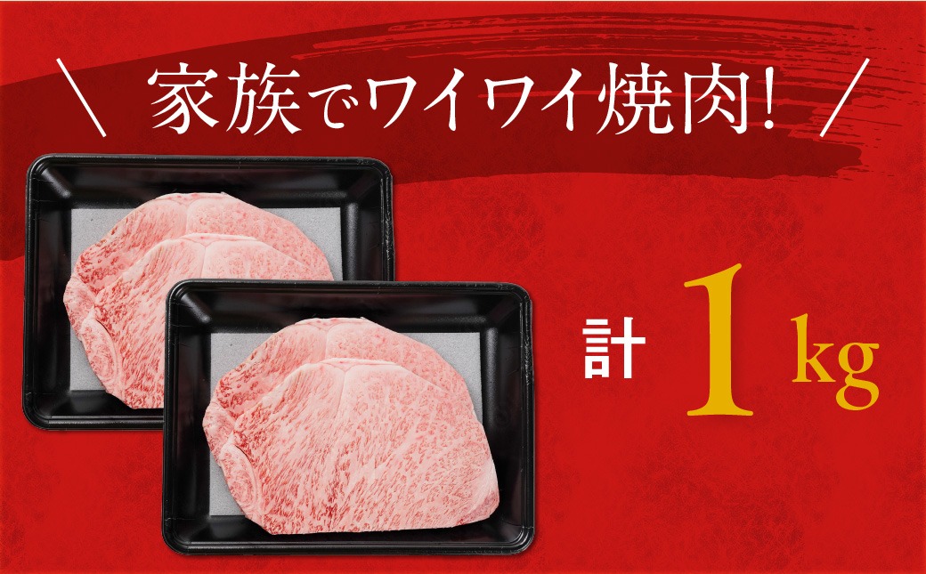 畜産農家応援! 宮崎牛ロースステーキ4枚 計1000g_29-N201
