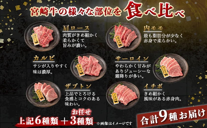 宮崎牛焼肉食べ比べ9種盛_32-31-007_【肉 牛肉 焼き肉 焼肉 人気 おすすめ 国産 宮崎県産】