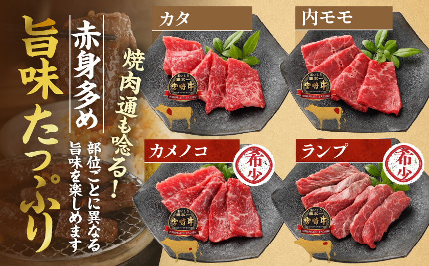 宮崎牛食べ比べ10種盛り焼肉セット(各600g×2P)_34-3103_【肉 牛肉 焼き肉 焼肉 人気 おすすめ 国産 宮崎県産】