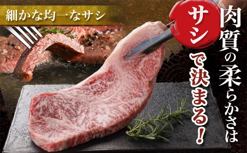 宮崎牛サーロインステーキ(200g×4枚)≪みやこんじょ快速便≫_34-N401-R