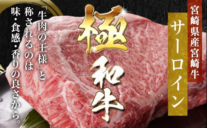 宮崎牛サーロインブロック(1kg)_38-N401