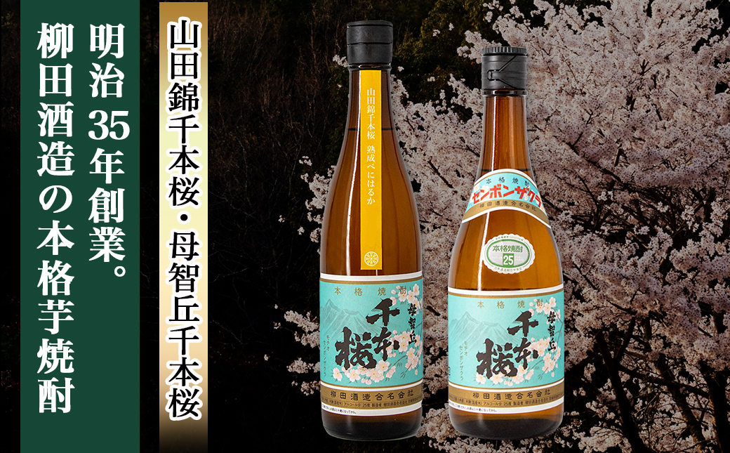 【柳田酒造】山田錦千本桜・母智丘千本桜(25度)720ml×2本 ≪みやこんじょ特急便≫_AA-0751