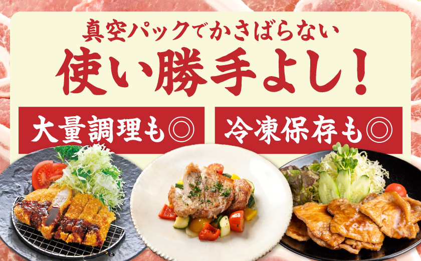 豚ロースとんかつ・ソテー用20枚_AA-2506
