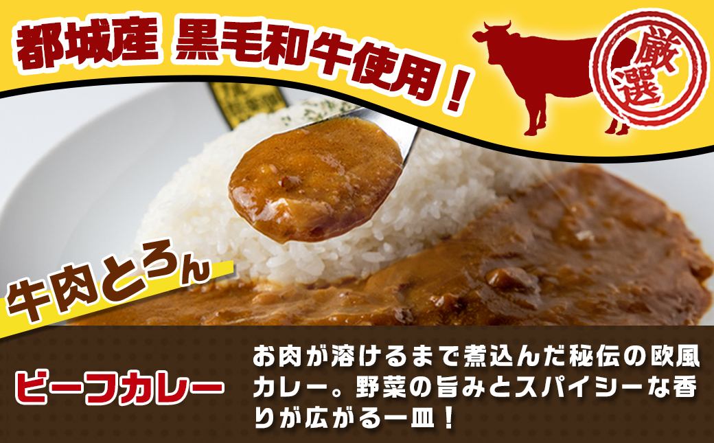 カレー倶楽部ルウ☆チキン南蛮カレー5食セット_AA-2710