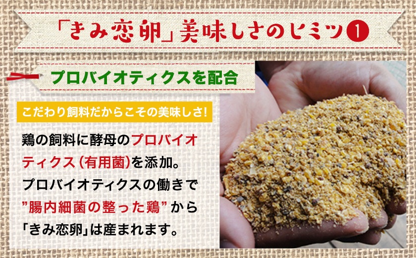 新鮮赤卵「きみ恋卵」60個_AA-2911