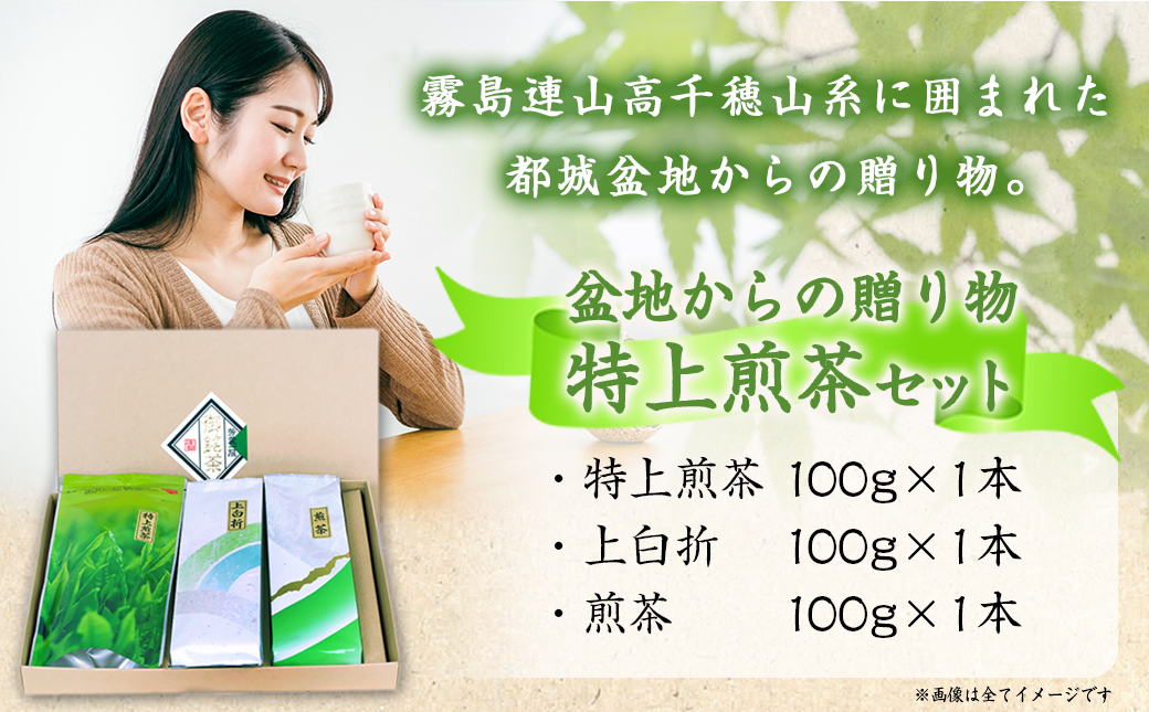 盆地からの贈り物 特上煎茶セット_AA-4801